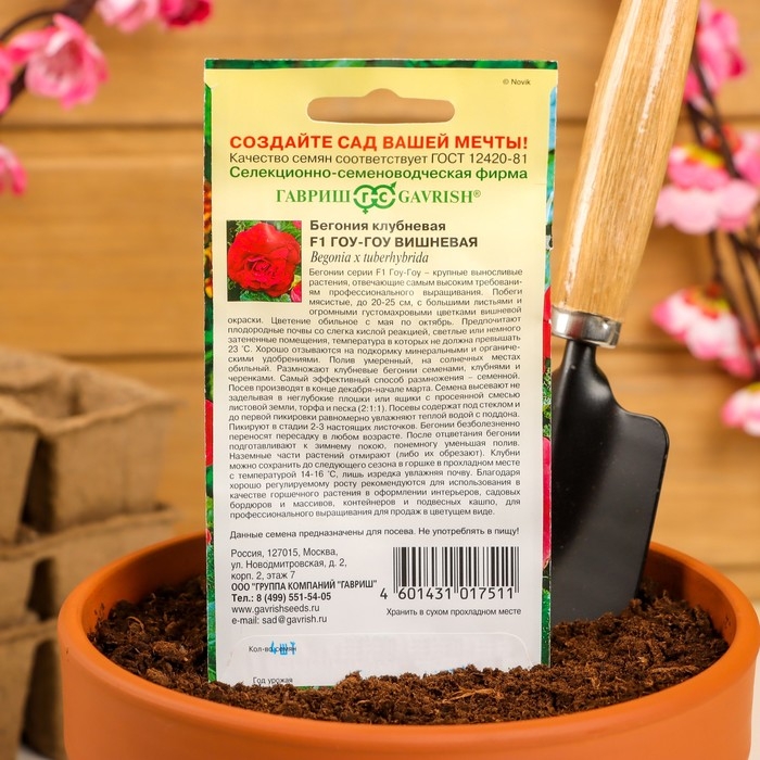 Семена комнатных цветов Бегония  Семена комнатных цветов Бегония "Гоу-гоу", ц/п,  вишневая, F1, 4 шт.