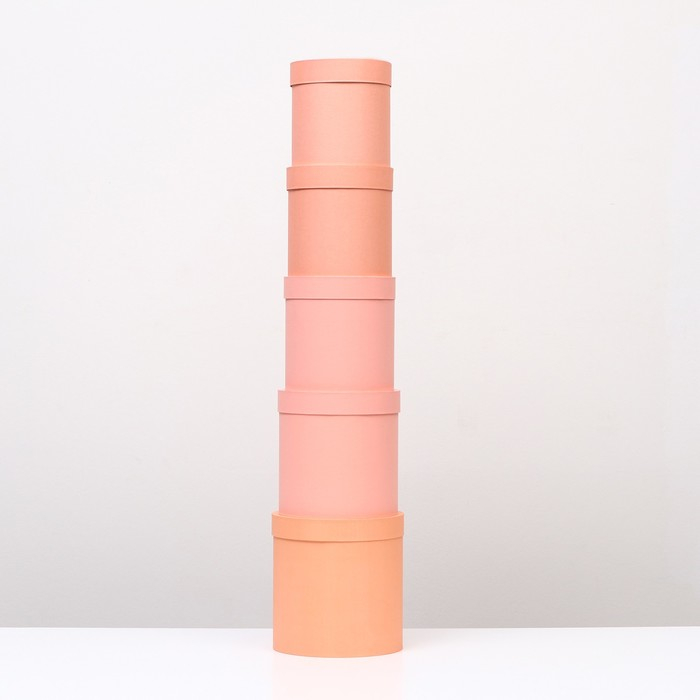 Набор круглых коробок 5 в 1 Набор круглых коробок 5 в 1 "Краски", персиковый, 25 х 25 х 25 - 19 х 19 х 19 см