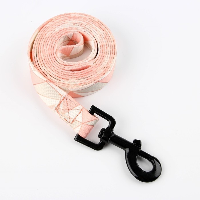 Набор &laquo;Ромбы&raquo;, застёжка - фастекс, поводок 2 м и ошейник 28-46 см