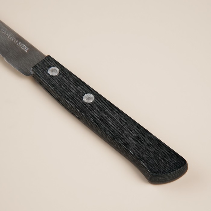 Набор столовых приборов из нержавеющей стали SL Home, 24 предмета, цвет серебряный, цвет ручки коричневый Набор столовых приборов из нержавеющей стали SL Home, 24 предмета, цвет серебряный, цвет ручки коричневый