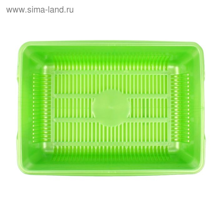 Туалет перламутровый глубокий с сеткой, 38,5 х 26 х 9 см, зеленый Туалет перламутровый глубокий с сеткой, 38,5 х 26 х 9 см, зеленый