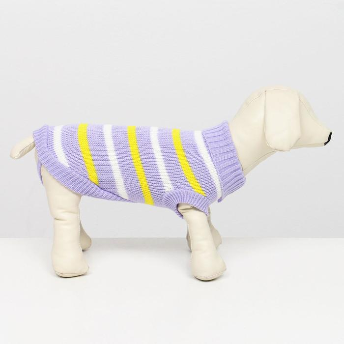 Свитер  Свитер "Полоски", 2XL (ДС 41, ОШ 41, ОГ 36-60 см)