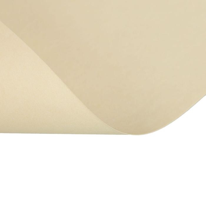 Бумага цветная А4, 100 листов Calligrata Пастель, оранжевая, 80 г/м&sup2;