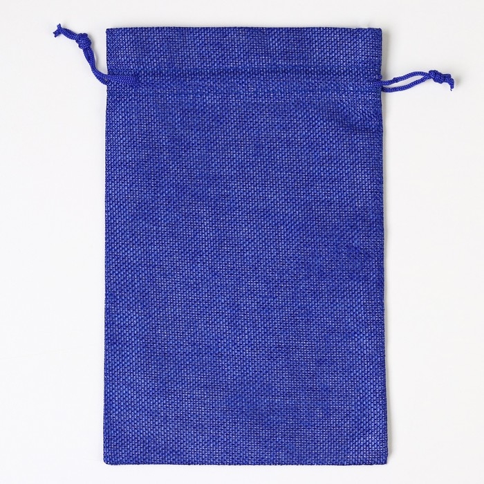 Мешок с термонаклейкой «Рябина на снегу», 16 х 24 см +/- 1.5 см, Новый год