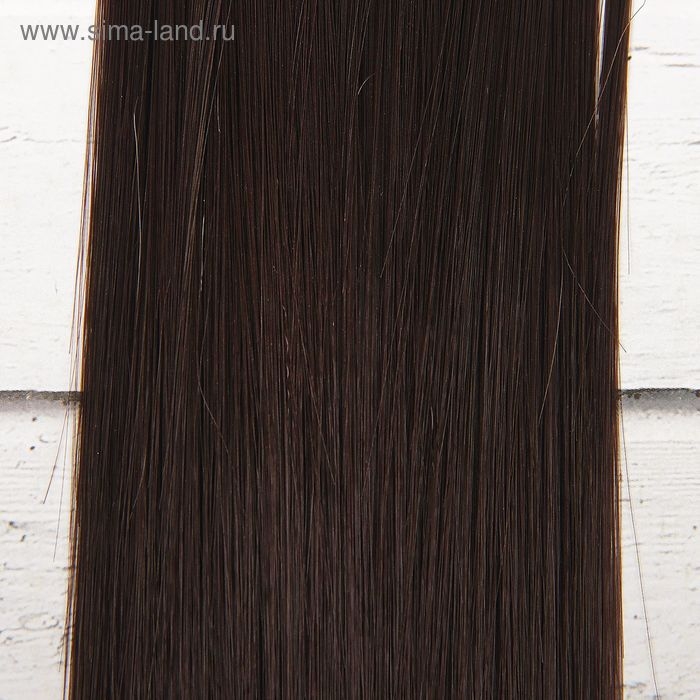 Волосы - тресс для кукол «Прямые» длина волос: 25 см, ширина: 100 см, цвет № 2 Волосы - тресс для кукол «Прямые» длина волос: 25 см, ширина: 100 см, цвет № 2