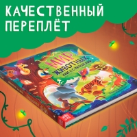 Книга с окошками «Мир животных», 50 окошек