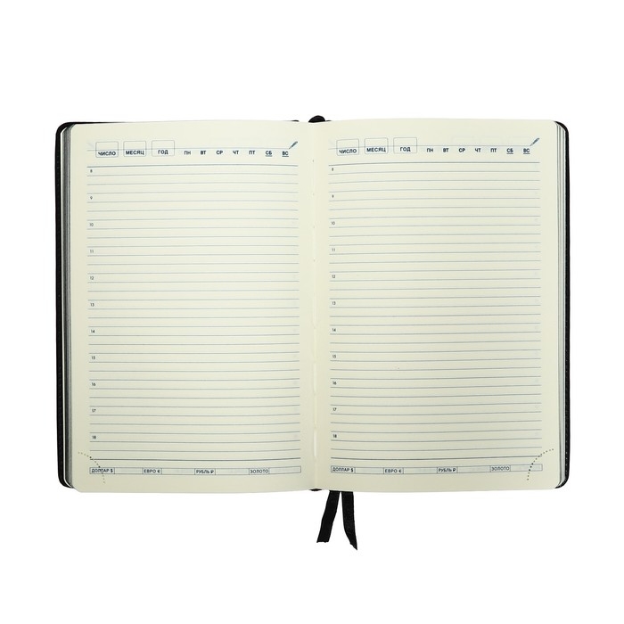 Ежедневник НЕдатированный А5, 136 листов в линейку, кожзам Ежедневник НЕдатированный А5, 136 листов в линейку, кожзам "Небраска", серебряный срез, черный