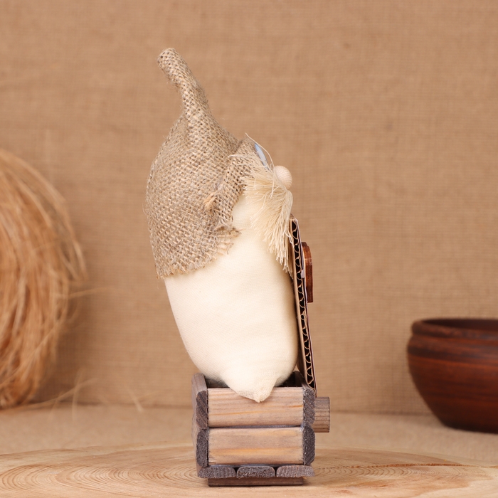 Домовой Домовой "Любимчик с книгой", на сундуке, 21х11х7 см