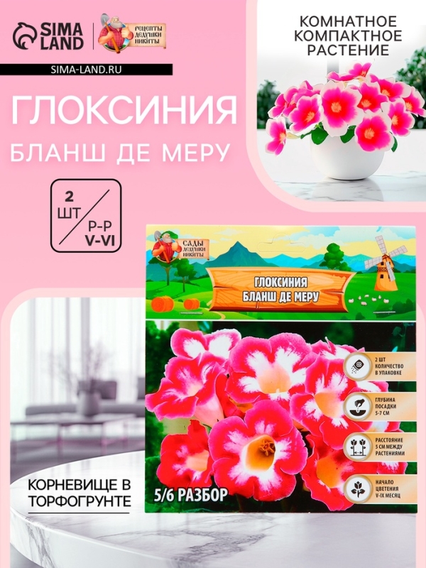 Глоксиния «Бланш де Меру», многолетник, комнатный, луковица в пакете с перфорацией, р-р 5/6, 2 шт.