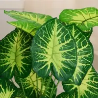 Дерево искусственное &laquo;Алоказия пёстрая&raquo;, h=75 см