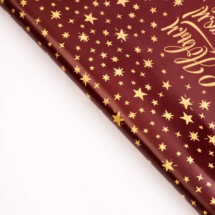 Бумага упаковочная новогодняя глянцевая &laquo;Уютного праздника&raquo;, 50&times;70 см