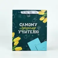 Набор пакет и открытка "Самому лучшему учителю"