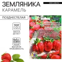 Семена Земляника &laquo;Карамель&raquo;, 10 шт., крупноплодная, &laquo;Уральский дачник&raquo;