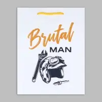 Пакет подарочный ламинированный, упаковка, Brutal man, MS, 23 х 18 х 8 см