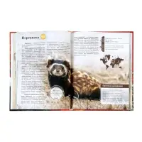 Энциклопедия &laquo;Красная книга мира&raquo;, 160 стр., книга в твёрдом переплёте