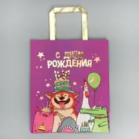 Пакет подарочный, упаковка, &laquo;С Днём рождения!&raquo;, ML 23&times;27&times;11.5 см