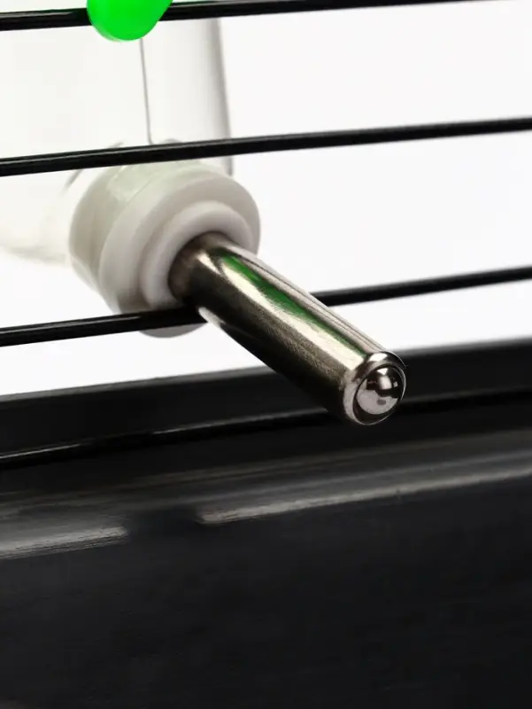 Поилка для грызунов, 60 мл, 12&times;4 см, с металлическим носиком, прозрачная, зелёное крепление