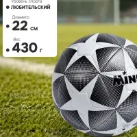 Мяч футбольный MINSA, TPE, машинная сшивка, 12 панелей, р.5