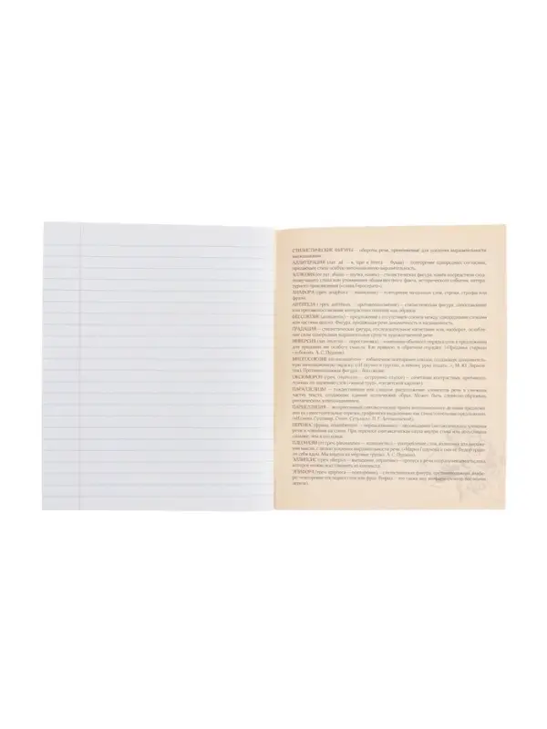 Тетрадь предметная 48 листов в линию, Calligrata «Доска. Литература», обложка мелованный картон