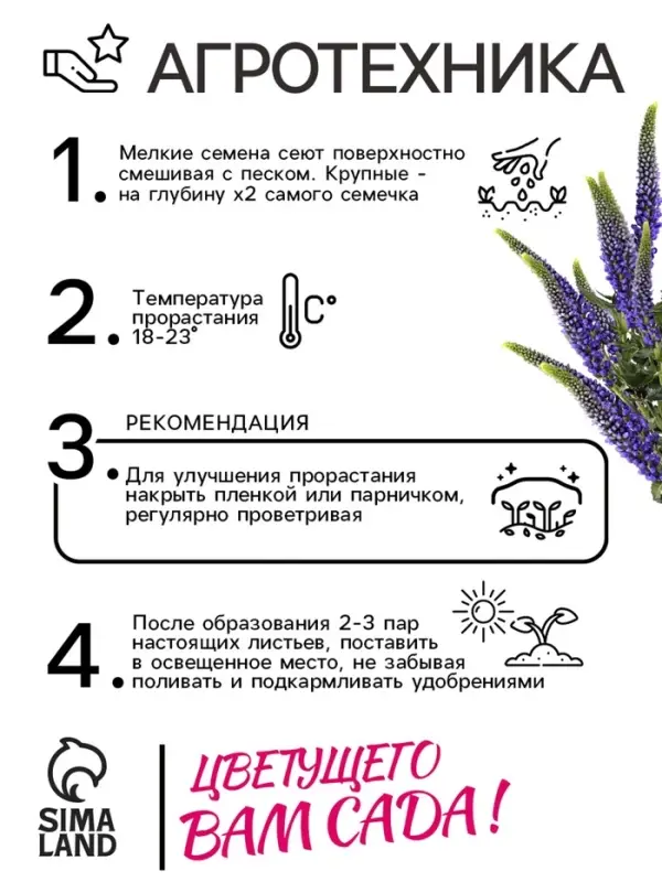 Семена Вероника Семена Вероника "Синяя", ц/п, 0,02 г