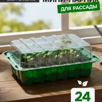 Мини - парник для рассады, 25&times;17.5&times;4.5 см, 24 ячейки под таблетки для рассады d=3 см, пластик, Greengo