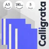 Набор папок-скоросшивателей А5, 5 штук, Calligrata, 180 мкм, с прозрачным верхом, синий