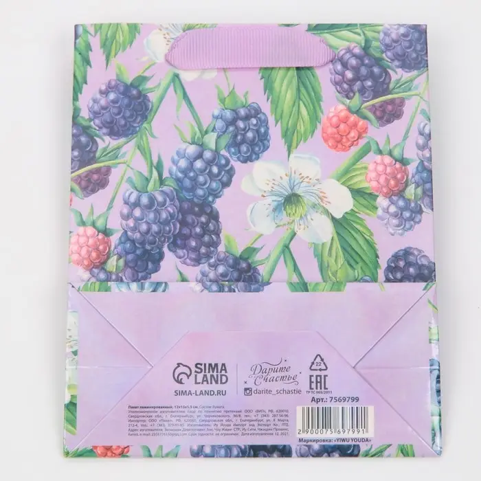 Пакет подарочный ламинированный, упаковка, «Будь собой», радужная голография, S 12 х 15 х 5.5 см