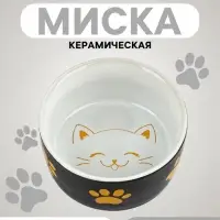 Миска керамическая &laquo;Веселый котик&raquo;, 200 мл, 10.5&times;9.5&times;5 см