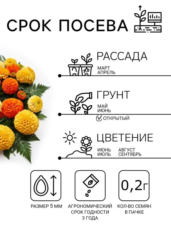 Семена цветов Бархатцы прямостоячие &laquo;Хлопушка&raquo;, 0.2 г