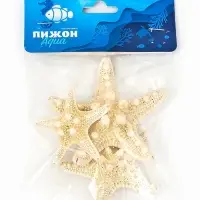Набор из 3 морских звезд, размер 5-7 см, 7-10 см, 10-12 см, белый