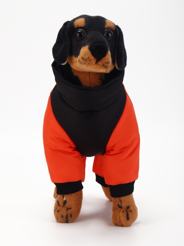 Комбинезон Комбинезон "Тренд", оксфорд, M (ДС 27, ОШ 29, ОГ 38 см, вес 5-8 кг), оранжевый