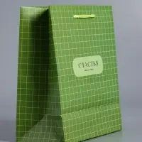 Пакет подарочный ламинированный &laquo;Здесь и сейчас&raquo;, оливковый, 18&times;22.3&times;10 см