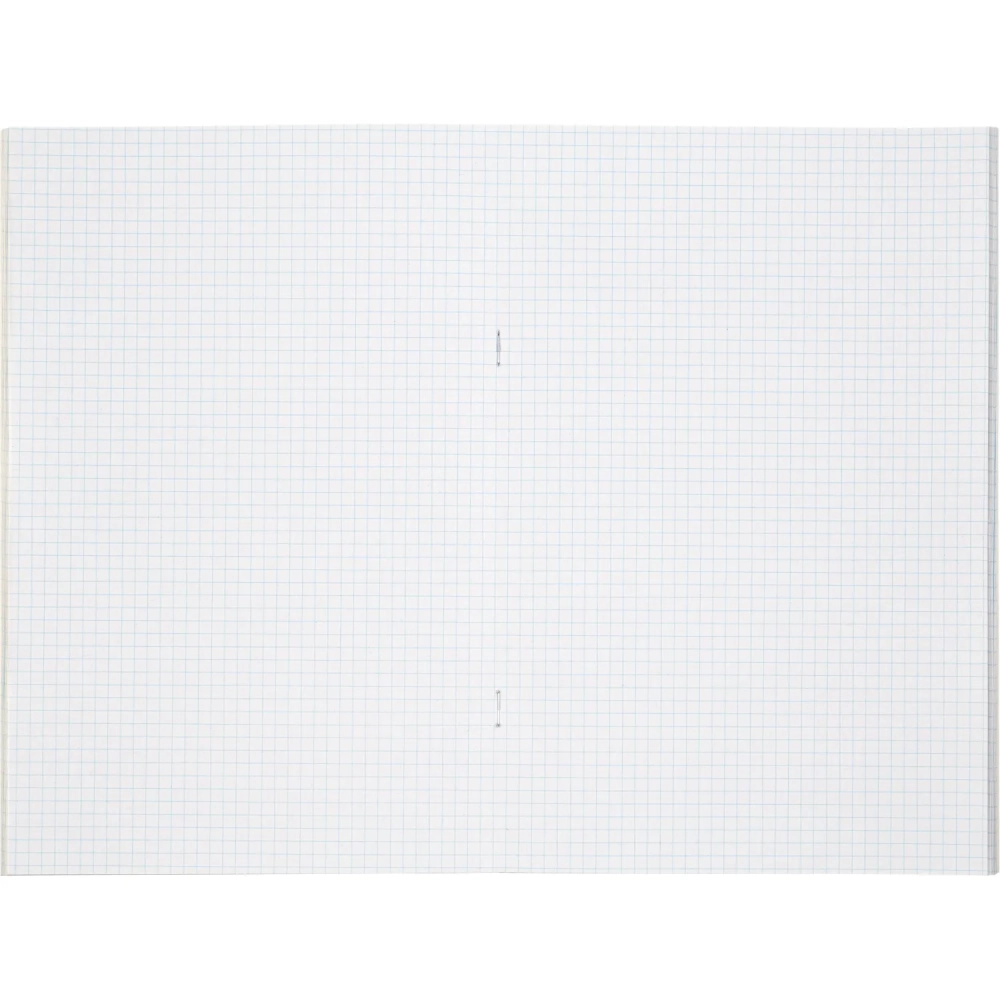 Книга учета Выбор есть А4 48л клетка блок типограф обл. картон