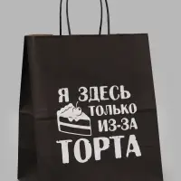 Пакет подарочный &laquo;Я здесь только из-за торта&raquo;, 24&times;14&times;28 см, крафт