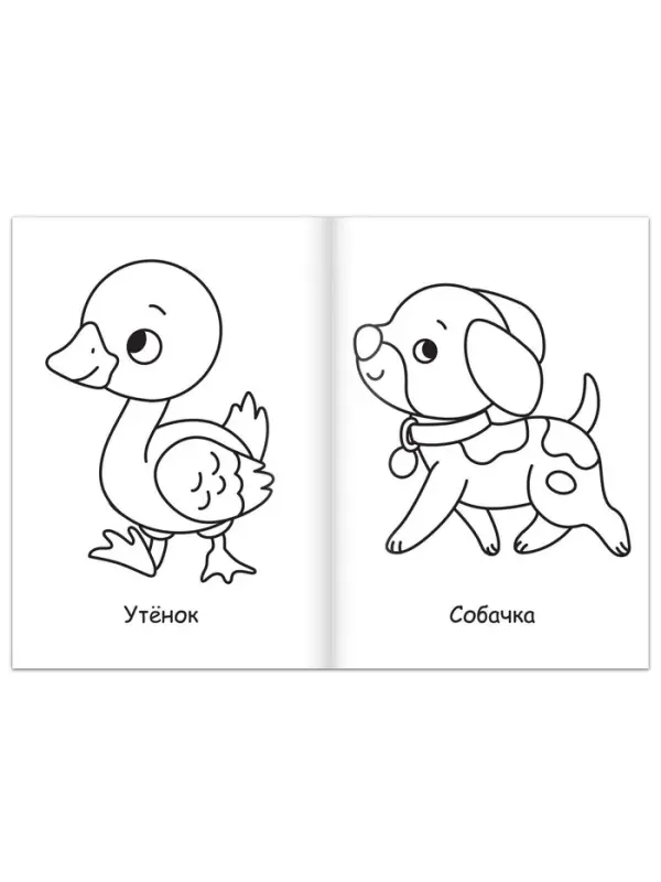 Супер раскраска &laquo;На ферме и в лесу&raquo;, 68 стр., формат А4