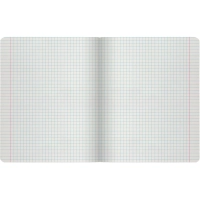 Тетрадь школьная 18 л., клетка ЦВЕТЫ.ФЕЕРИЯ в ассортименте, 7-18-243/1