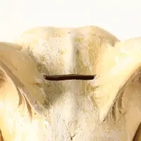 Копилка для денег &laquo;Череп сфинкса&raquo;, 14&times;14&times;13 см, натуральный