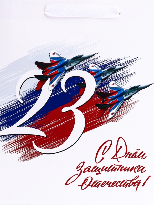 Пакет подарочный вертикальный «С 23 Февраля!»,   ML 23 × 27 × 11.5 см