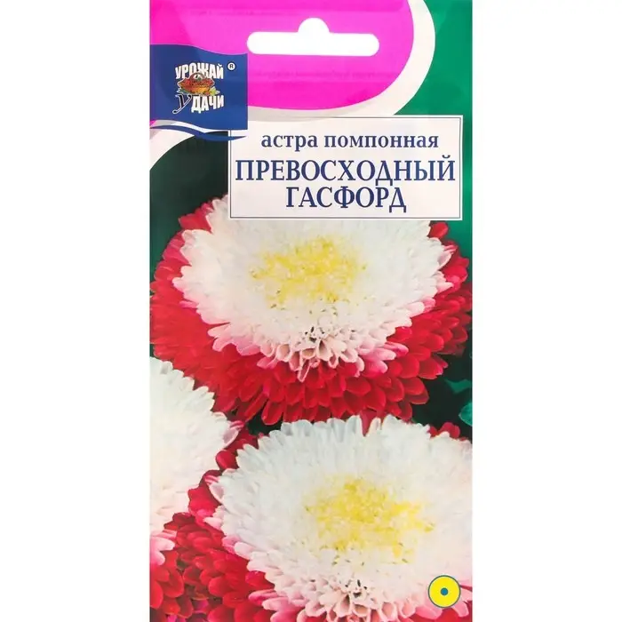 Семена цветов Астра помпонная  Семена цветов Астра помпонная "Превосходный Гасфорд", 0,2 г