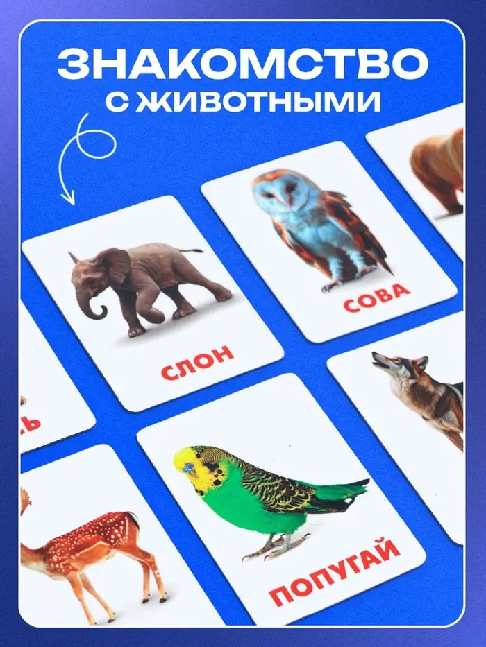Магнитные карточки по методике Домана &laquo;Животные&raquo;, 32 карты, 3+