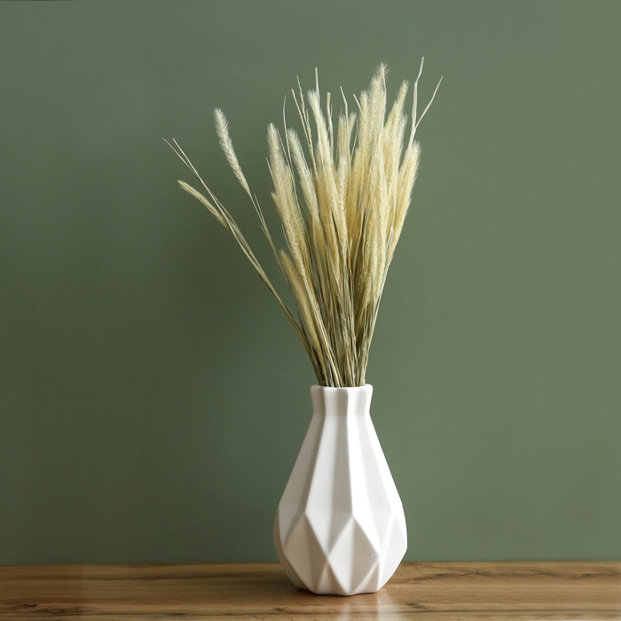 Сухоцвет «Щетинник», белый, 30 - 50 г в упаковке Сухоцвет «Щетинник», белый, 30 - 50 г в упаковке