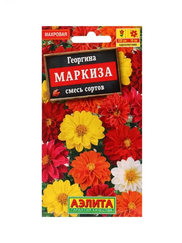 Набор Семена цветов Георгины махровая низкорослая (238760048) ВБ