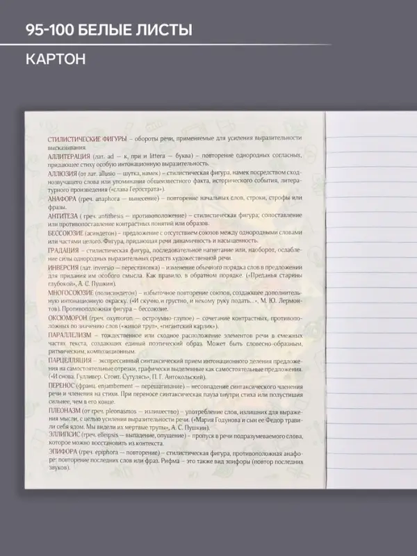 Тетрадь предметная 48 листов в линейку Calligrata, &laquo;Кеды. Литература&raquo;, картонная обложка
