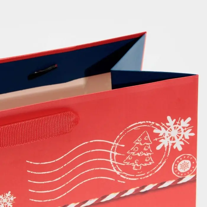 Пакет подарочный новогодний ламинированный «Посылка для тебя», MS 18 х 23 х 10 см