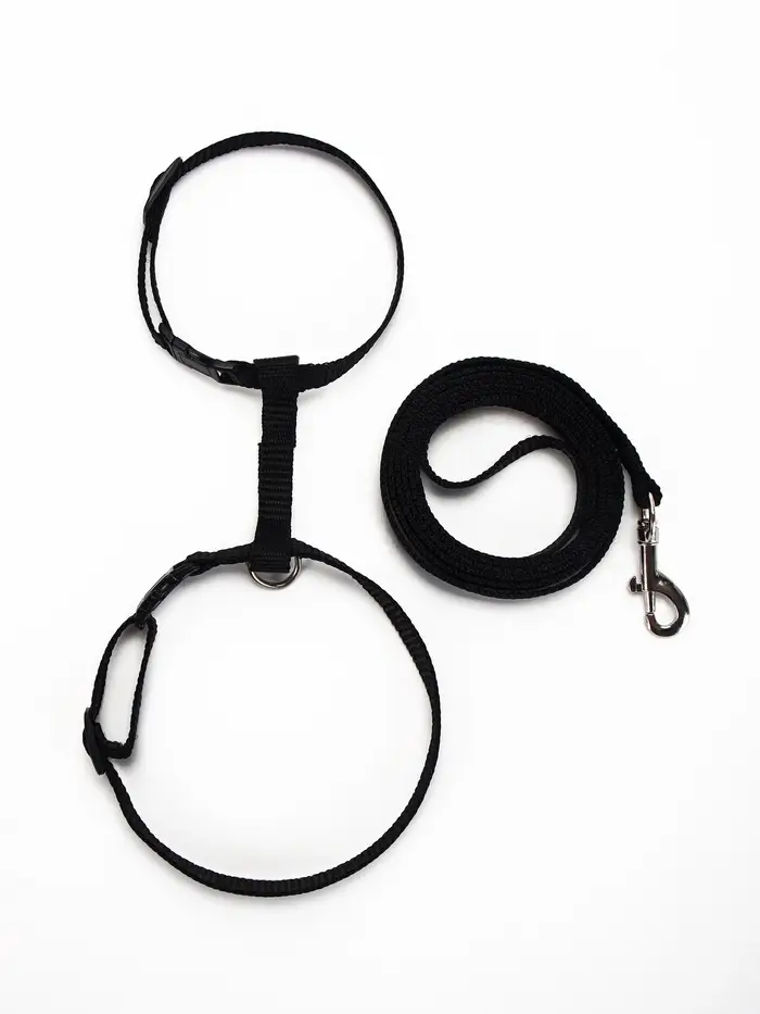 Комплект для кошек, ширина 1 см, ОШ 16.5-27 см, ОГ 21-35 см, поводок 120 см, чёрный