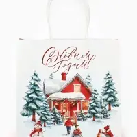 Набор пакетов крафтовых «Новогодний», 10 шт, 22 × 22 × 11 см Набор пакетов крафтовых «Новогодний», 10 шт, 22 × 22 × 11 см