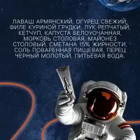 Космическое питание &laquo;Шаурма с курицей&raquo; в тюбике, 115 г