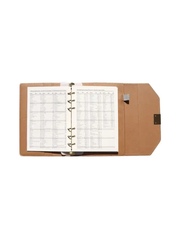 Органайзер на кольцах, C6, с клапаном, 80л, линия, к/зам, Бежевый Органайзер на кольцах, C6, с клапаном, 80л, линия, к/зам, Бежевый