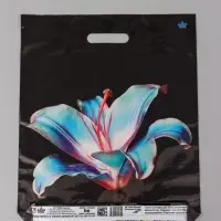 Пакет подарочный Лила  45 х 38 см 55 мкм