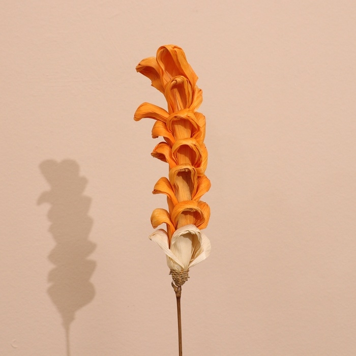 Сухоцвет на бамбуковом стебле 150 см оранжевый Сухоцвет на бамбуковом стебле 150 см оранжевый